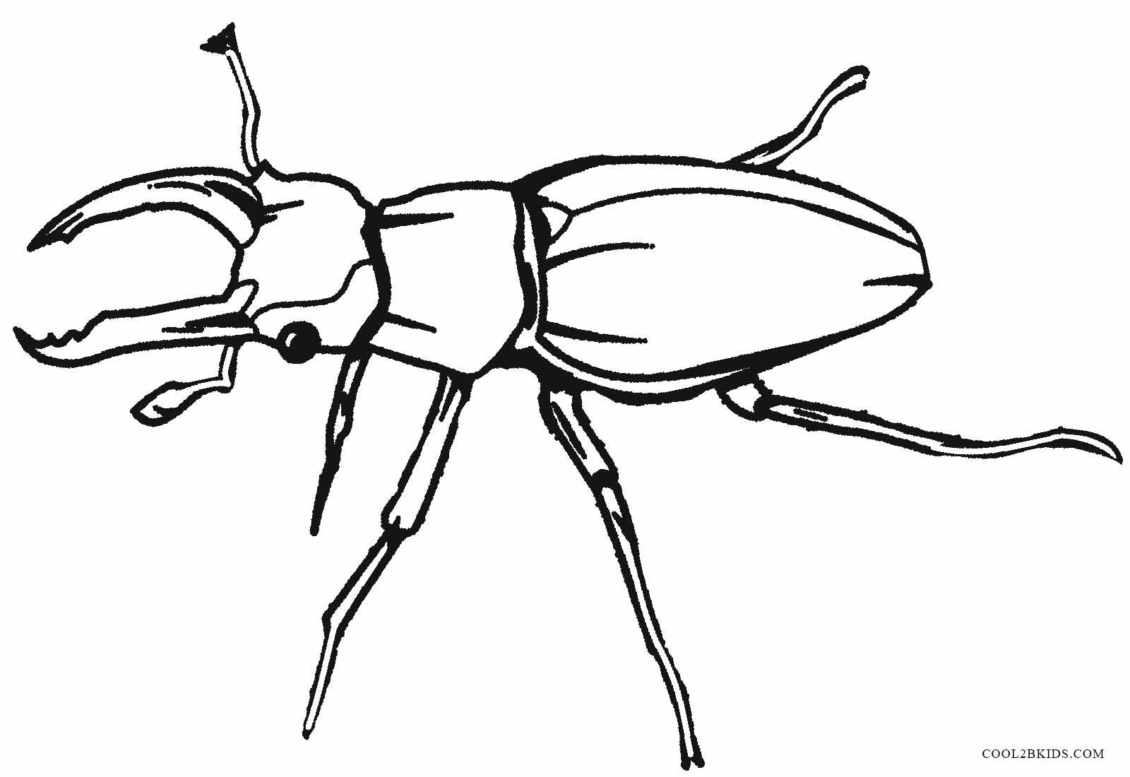 Coloring Pages Bugs
 Printable Bug Coloring Pages For Kids