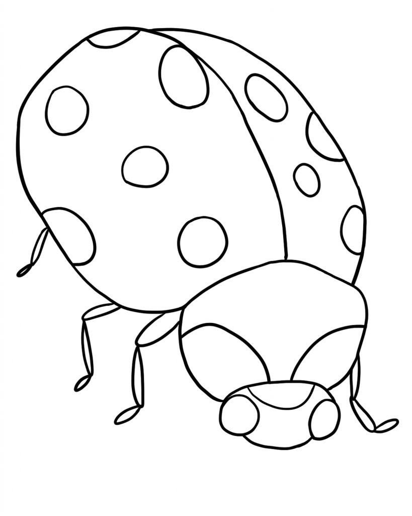 Coloring Pages Bugs
 Free Printable Ladybug Coloring Pages For Kids