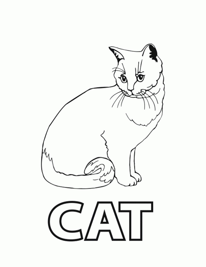Coloring Pages Cat
 Free Printable Cat Coloring Pages For Kids