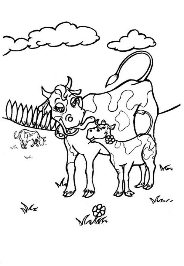 Coloring Pages Cow
 Free Printable Cow Coloring Pages For Kids