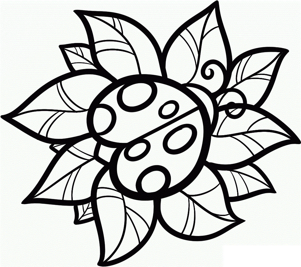 Coloring Pages Cute
 Free Printable Ladybug Coloring Pages For Kids
