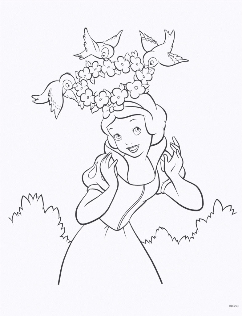 Coloring Pages Disney Princess
 Desenhos para Colorir das Princesas Disney