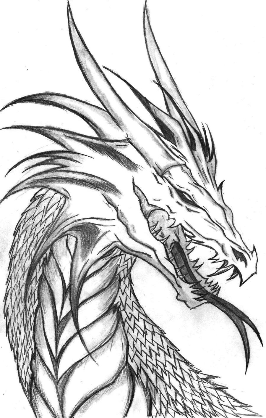 Coloring Pages Dragon
 Free Printable Dragon Coloring Pages For Kids