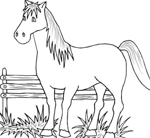 Coloring Pages Farm Animals
 Free Coloring Pages of Farm Animals Rooster Hen Dog
