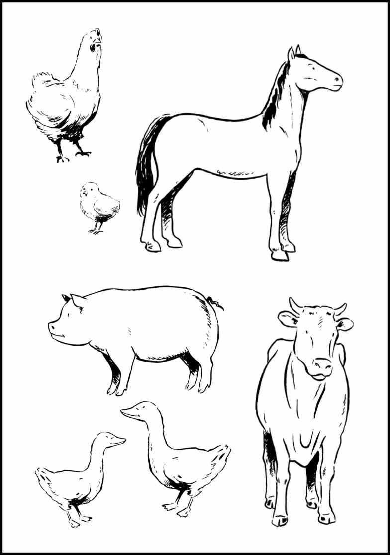 Coloring Pages Farm Animals
 Farm Animal Coloring Pages Bestofcoloring