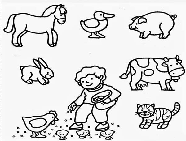 Coloring Pages Farm Animals
 Farm Animals coloring Download Farm Animals coloring