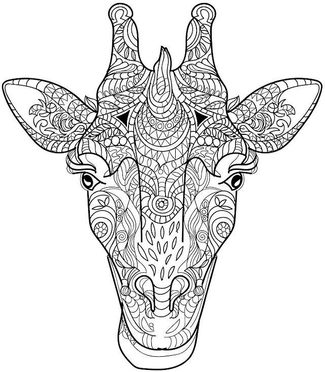 Coloring Pages For Adults Animals
 Animal Coloring Pages for Adults Best Coloring Pages For
