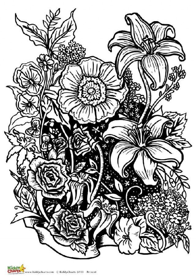 Best ideas about Coloring Pages For Adults Flowers
. Save or Pin Four free flower coloring pages for adults Now.