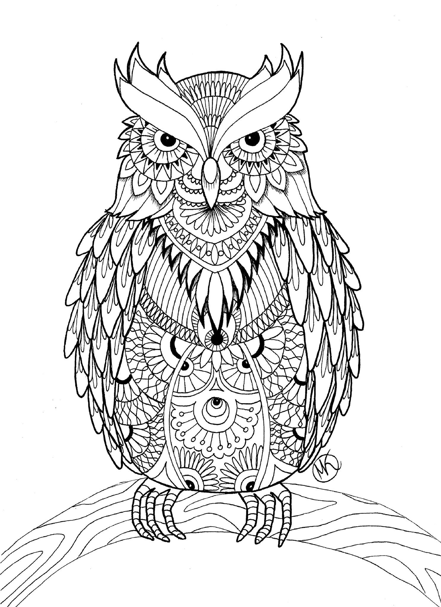 Coloring Pages For Adults Printable
 OWL Coloring Pages for Adults Free Detailed Owl Coloring