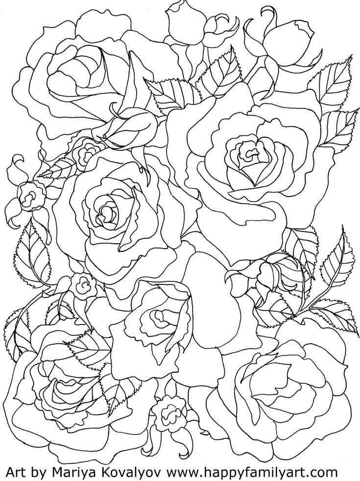 Coloring Pages For Adults Roses
 31 besten Malvorlagen Wildtiere Bilder auf Pinterest