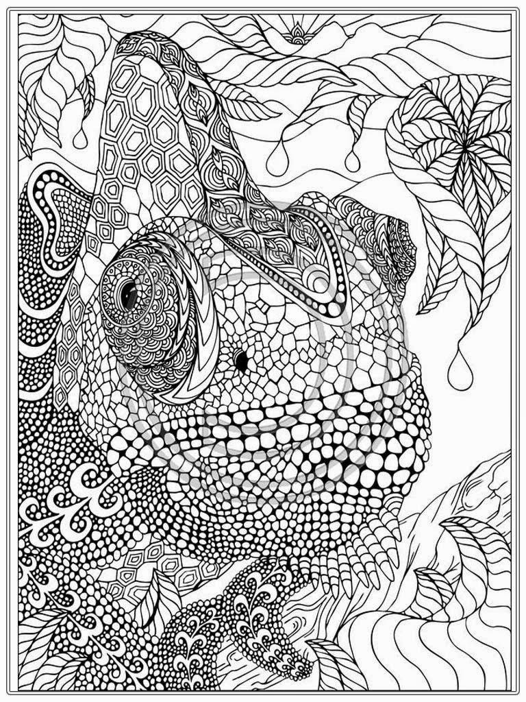 Coloring Pages For Adults To Print Out
 Coloring Pages Printable Iguana Adult Coloring Pages