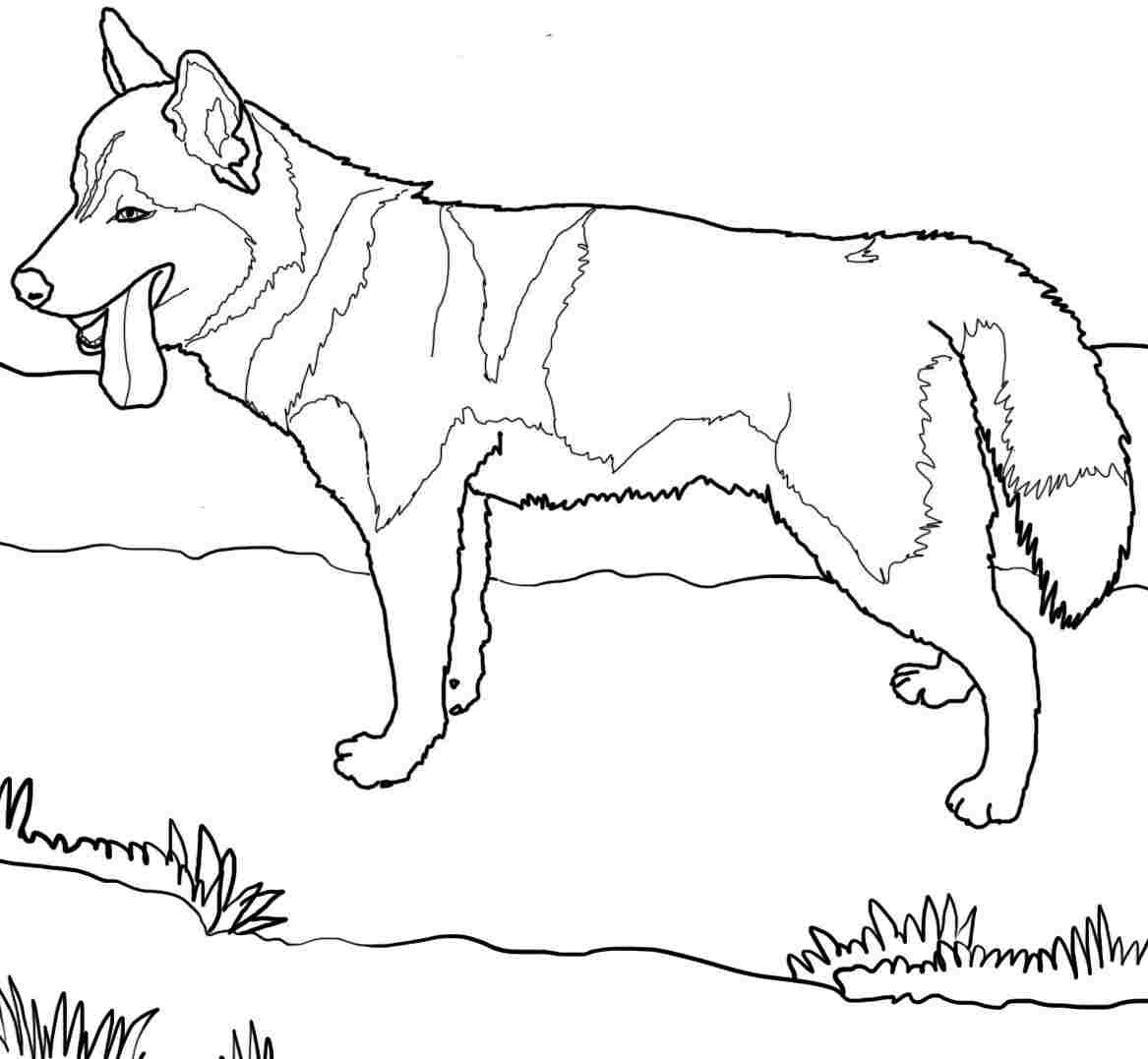Best ideas about Coloring Pages For Boys Animals
. Save or Pin 52 Best Printable Dog Coloring Pages Gianfreda Now.