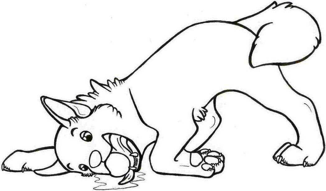 Best ideas about Coloring Pages For Boys Animals
. Save or Pin free printable animal dogs coloring pages for boys Now.
