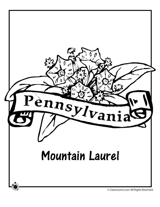 Coloring Pages For Boys Penn State
 52 best State Flower images on Pinterest