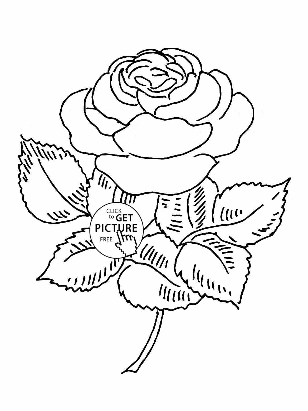 Best ideas about Coloring Pages For Boys That You Can Print
. Save or Pin You Can Print Coloring Pages Page Image Clipart Now.
