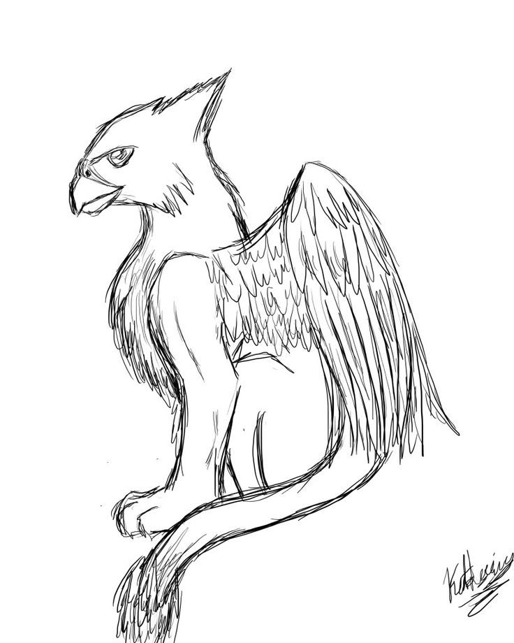 Coloring Pages For Girls 11 And Up Anime Griffens
 griffin