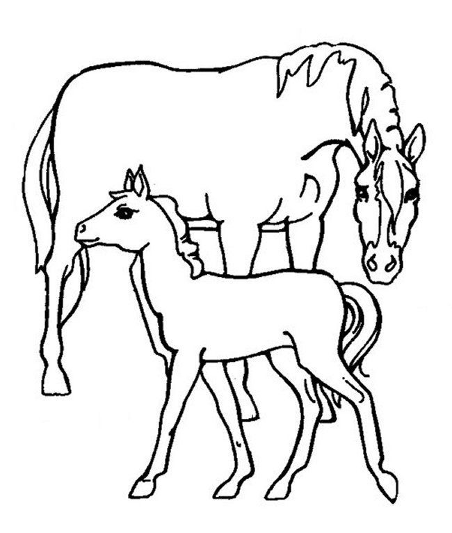 Coloring Pages For Girls Horses
 Horse Coloring Pages For Girls Coloring Home