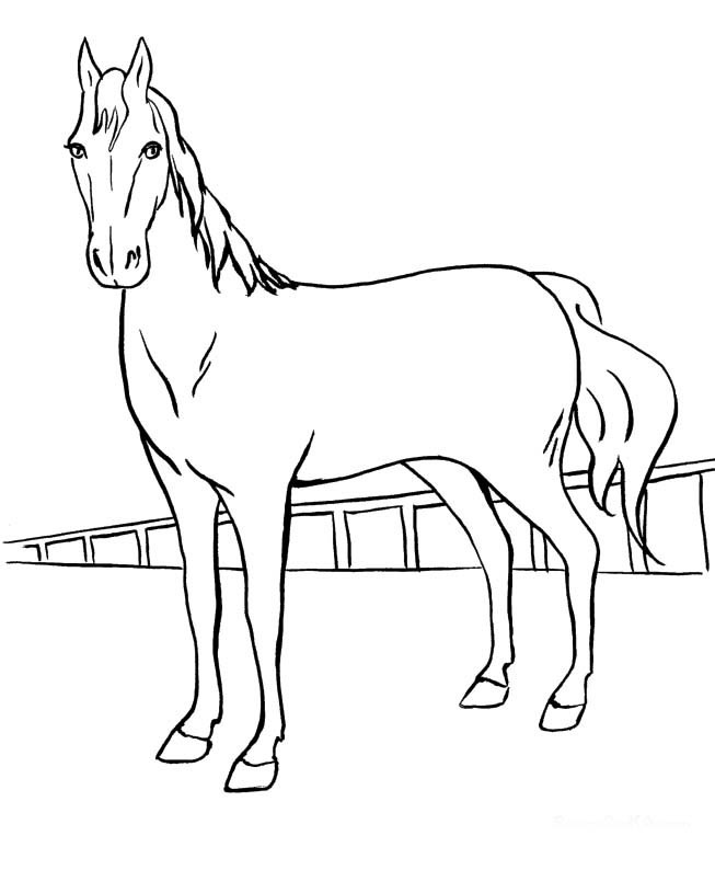 Coloring Pages For Girls Horses
 Horse Coloring Pages For Girls AZ Coloring Pages