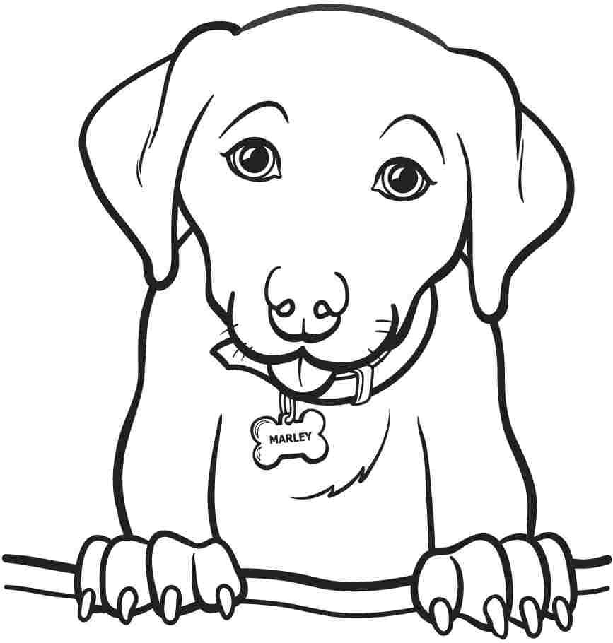 Coloring Pages For Kids Animals
 Printable Animal Dogs Coloring Sheets For Kids Girls 8611