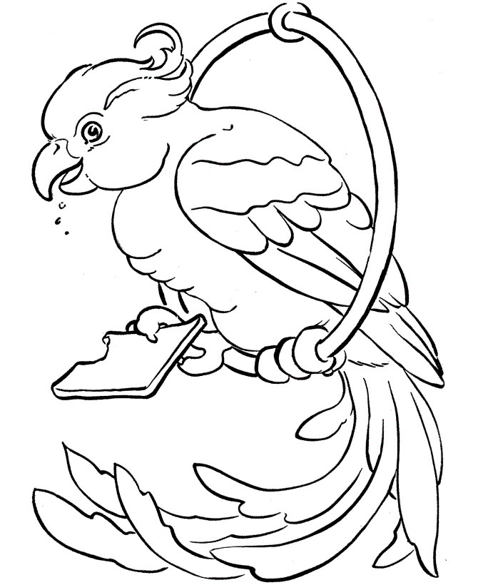 Coloring Pages For Kids Birds
 Free Printable Parrot Coloring Pages For Kids