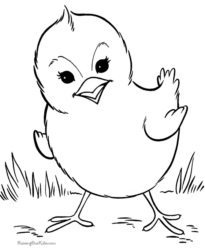 Coloring Pages For Kids Birds
 Bird coloring sheet and pages
