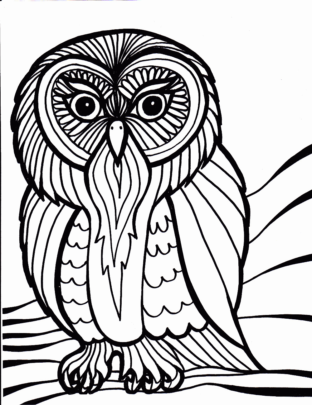 Coloring Pages For Kids Birds
 Bird Coloring Pages Dr Odd