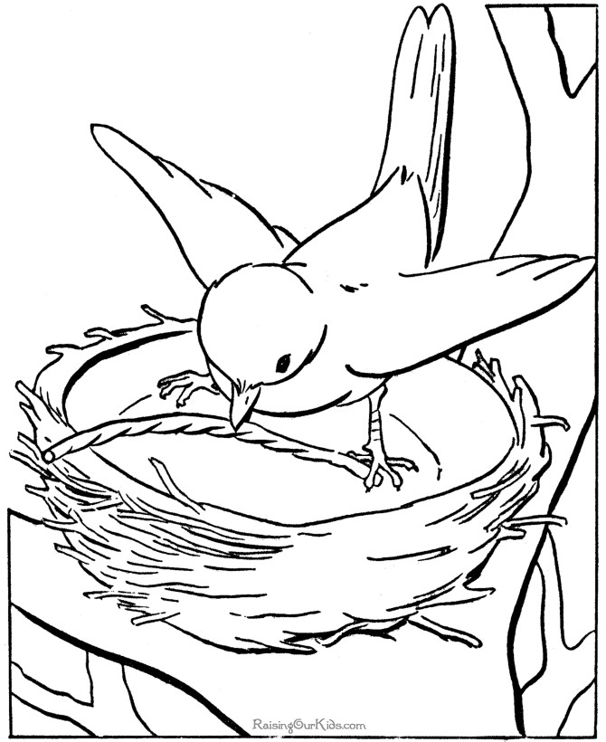 Coloring Pages For Kids Birds
 Bird Coloring Pages For Preschoolers Coloring Home
