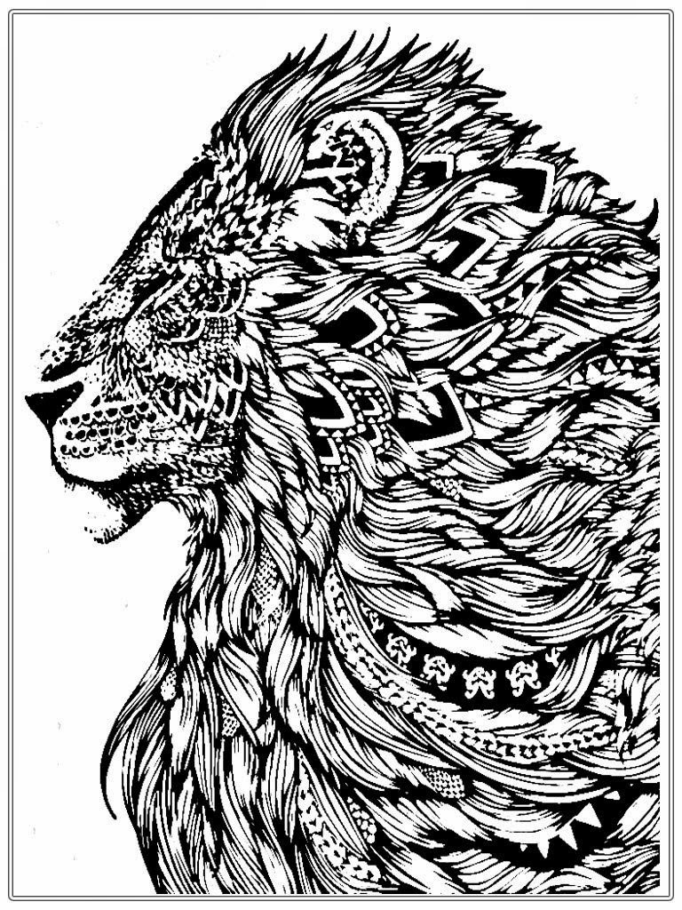 Coloring Pages For Men
 Realistic Lion Adult Coloring Pages Free