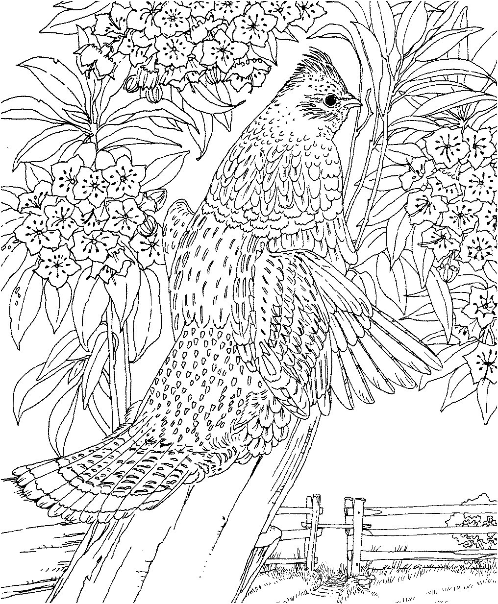 Coloring Pages For Teens Animals
 Adult Coloring Pages Fantasy Animals