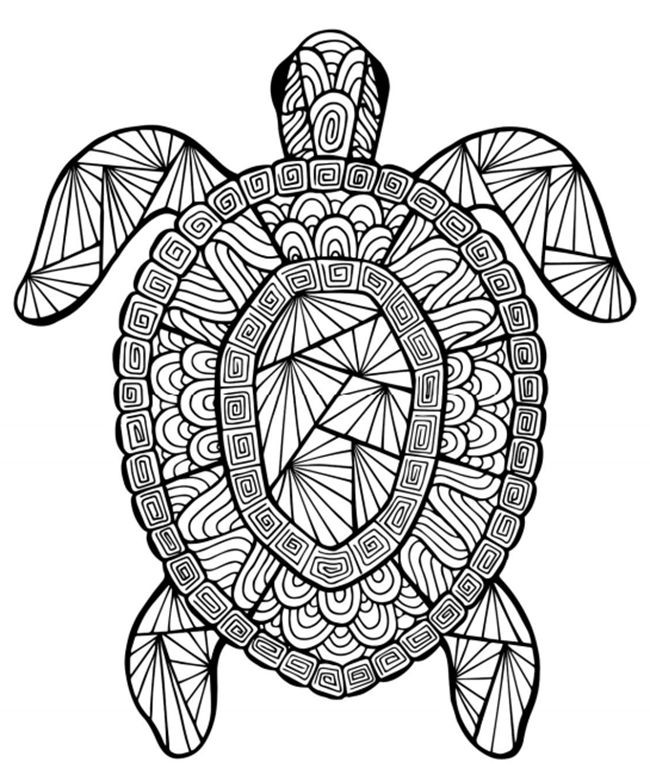 Coloring Pages For Teens Animals
 Animal Coloring Pages for Adults Best Coloring Pages For