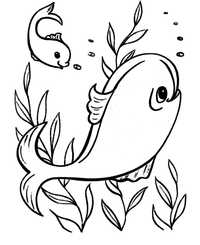 Coloring Pages For Teens Animals
 Coloring Sheets For Teenagers Coloring Home
