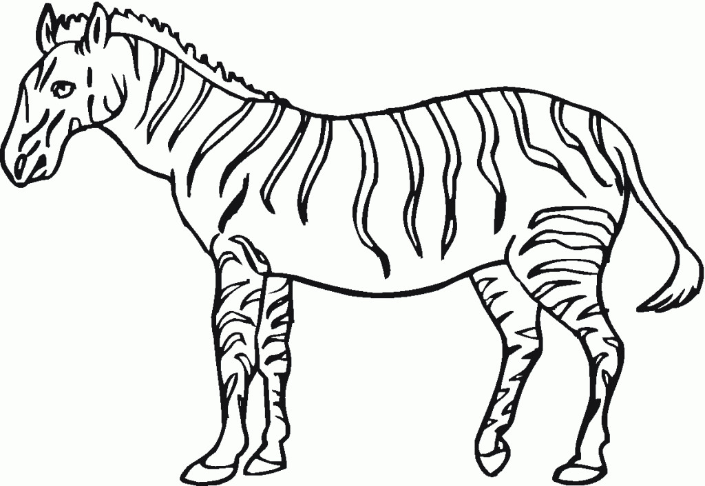 Coloring Pages For Teens Of Zebra And Giraffe Together
 Free Printable Zebra Coloring Pages For Kids