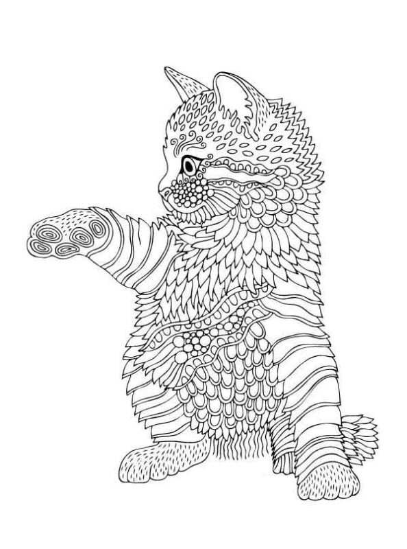 Coloring Pages For Teens Of Zebra And Giraffe Together
 Kids n fun
