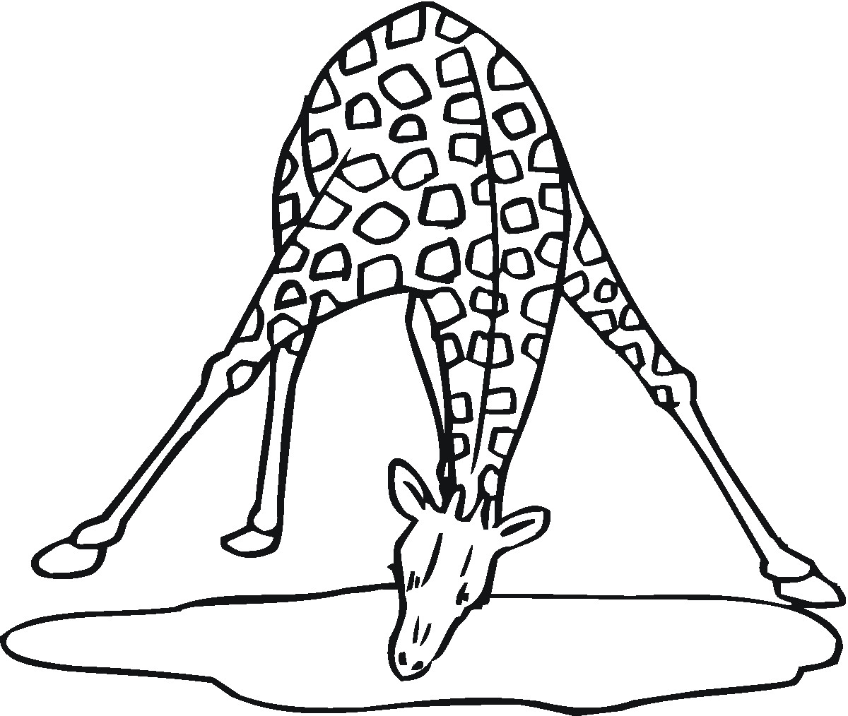 Coloring Pages For Teens Of Zebra And Giraffe Together
 Top 11 Free Printable Giraffe Coloring Pages For Kids
