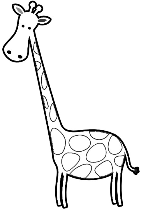 Coloring Pages For Teens Of Zebra And Giraffe Together
 Giraffe Clipart Black And White