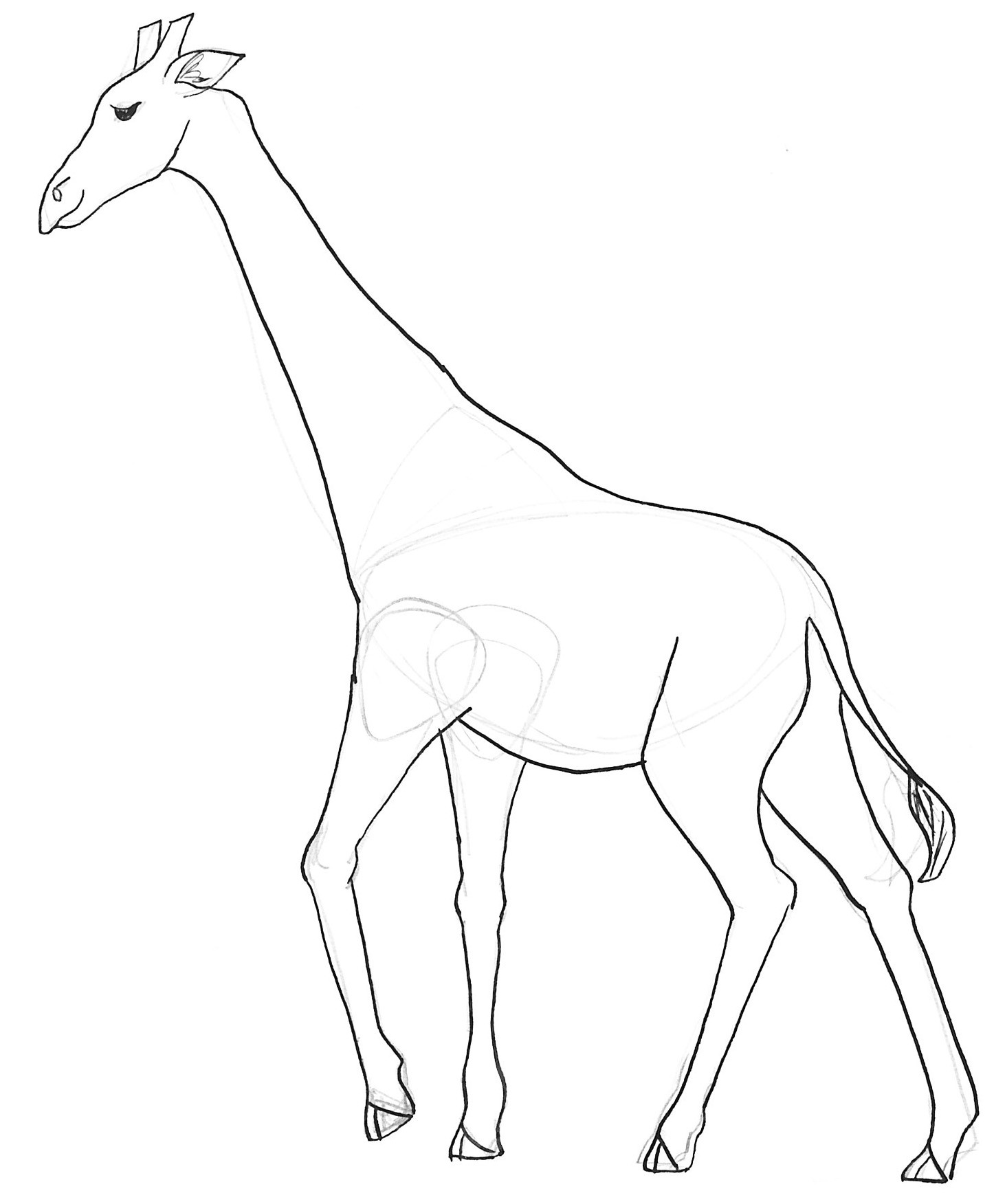 Coloring Pages For Teens Of Zebra And Giraffe Together
 giraffe