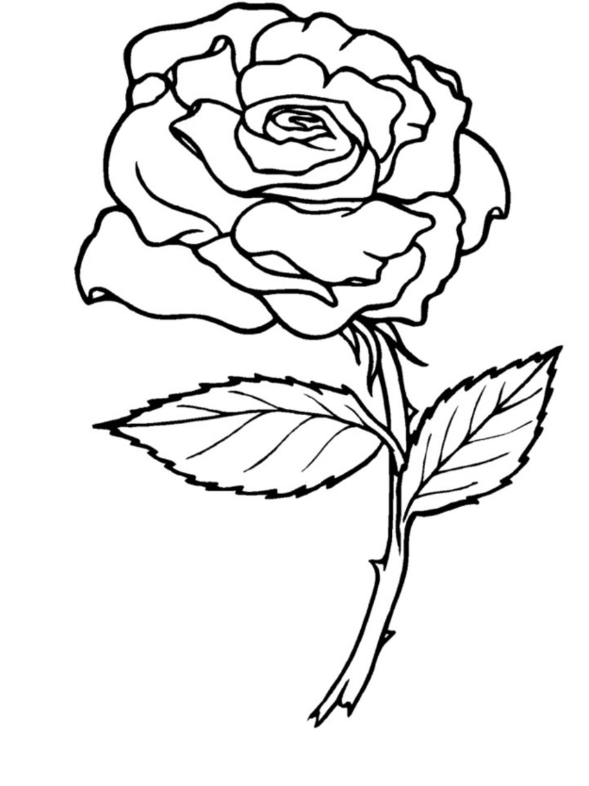 Best ideas about Coloring Pages For Teens Rose
. Save or Pin heart rose banner Colouring Pages page 2 Now.
