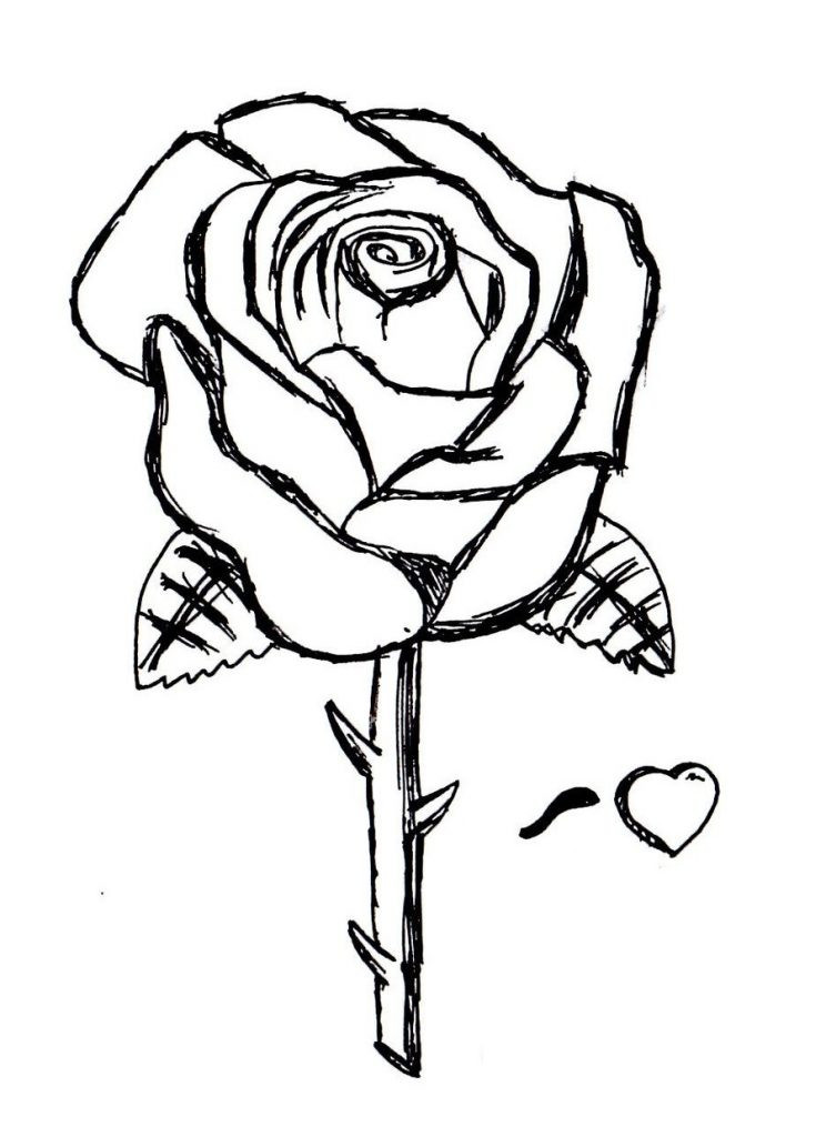 Best ideas about Coloring Pages For Teens Rose
. Save or Pin Rose Coloring Pages For Teenagers Coloring Pages Now.
