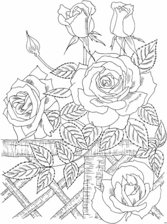 Best ideas about Coloring Pages For Teens Rose
. Save or Pin Flores para colorear fáciles dificiles y hermosas Now.