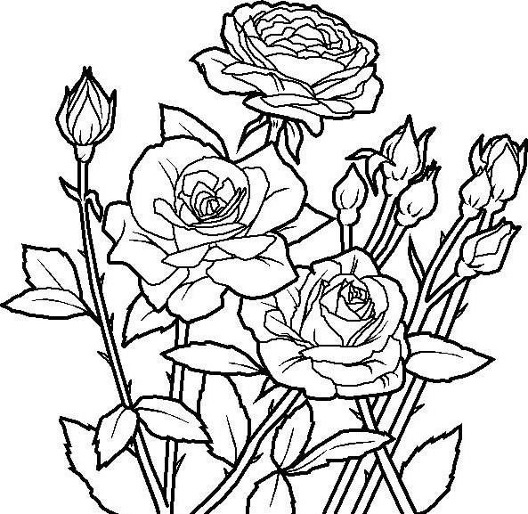 Coloring Pages For Teens Roses
 Flowers Coloring Pages Bestofcoloring