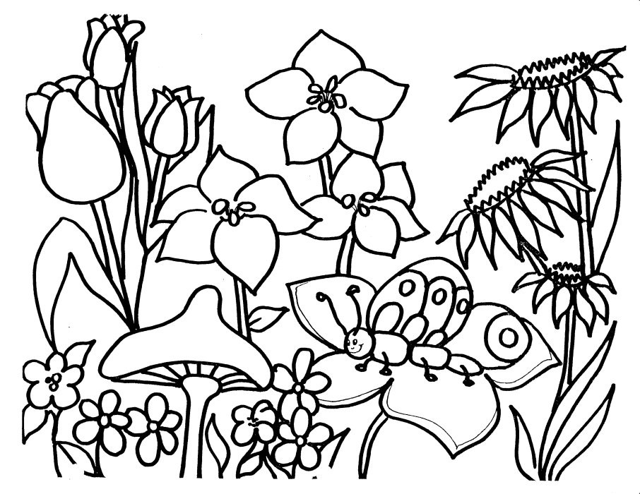 Coloring Pages Garden
 Coloring Pages for Kids Flower Garden Coloring Pages for Kids