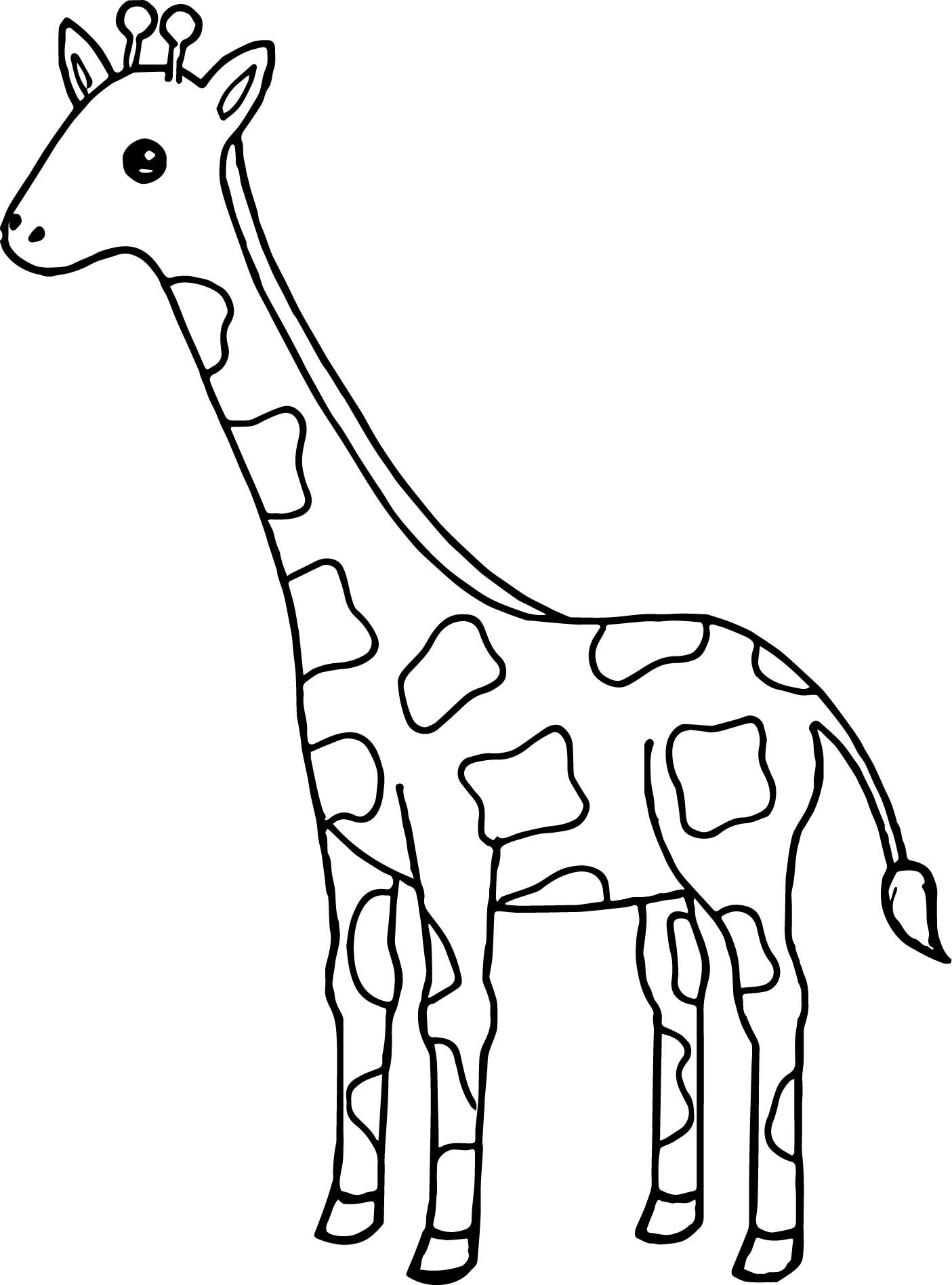 Coloring Pages Giraffe
 coloring pages of giraffes