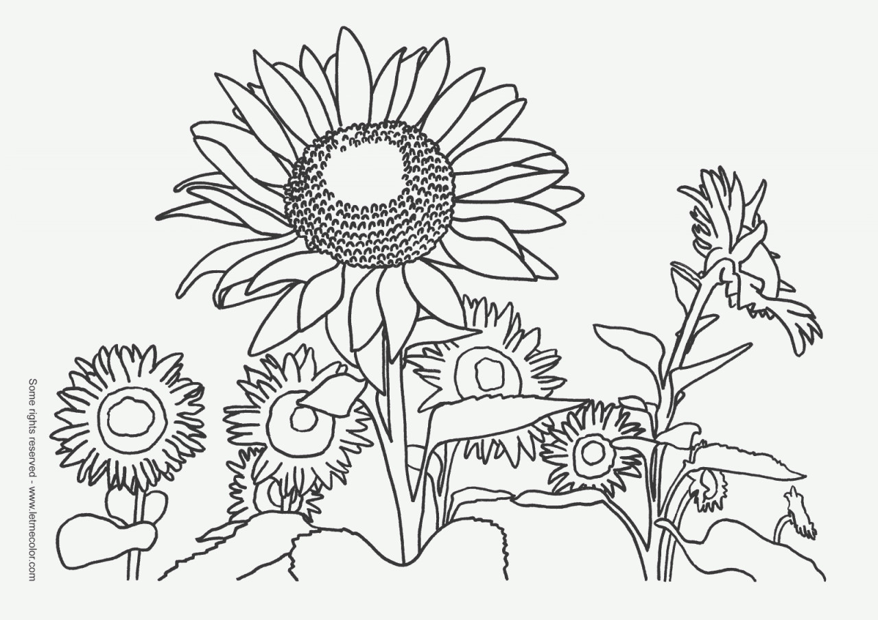 Best ideas about Coloring Pages Nature
. Save or Pin Category Nature Coloring Pages line ›› Page 0 Now.