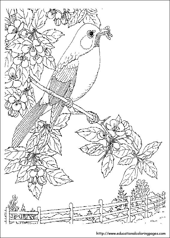 Best ideas about Coloring Pages Nature
. Save or Pin Nature Coloring Pages Educational Fun Kids Coloring Now.