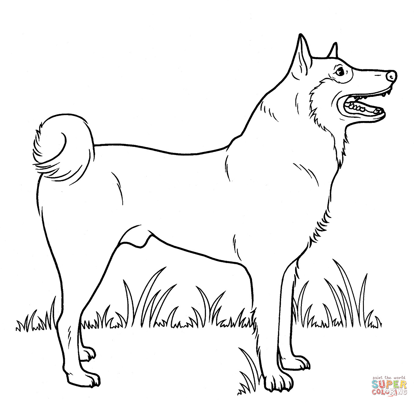 Coloring Pages Of A Dog
 Husky Dog Coloring Pages Bestofcoloring