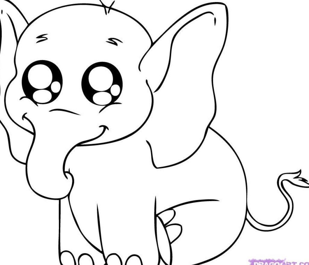 Coloring Pages Of Cute Animals
 Cute Coloring Pages Animals Coloring Home