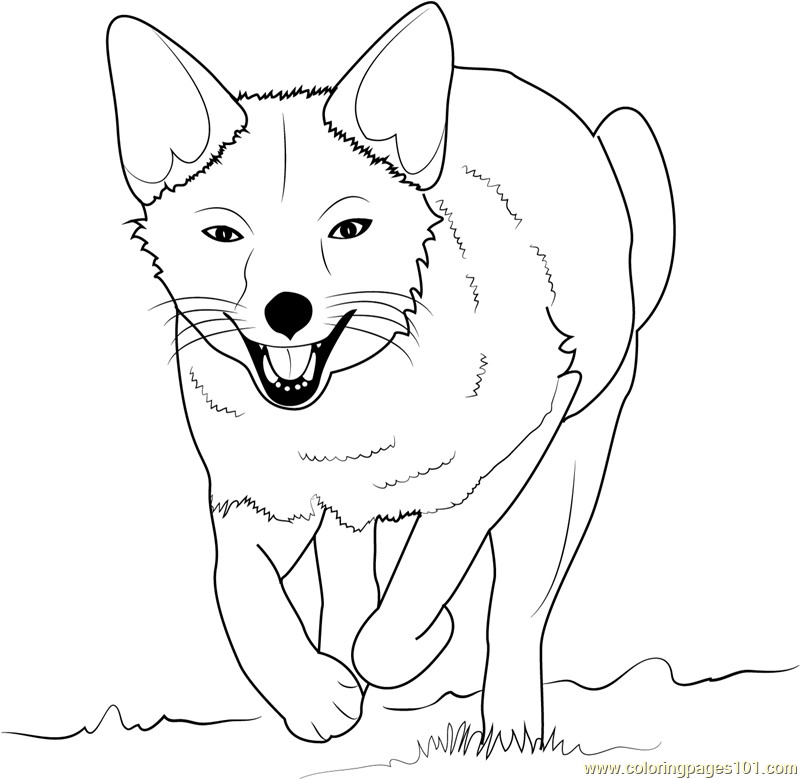 Coloring Pages Of Foxes
 Fox Hat Free Coloring Pages