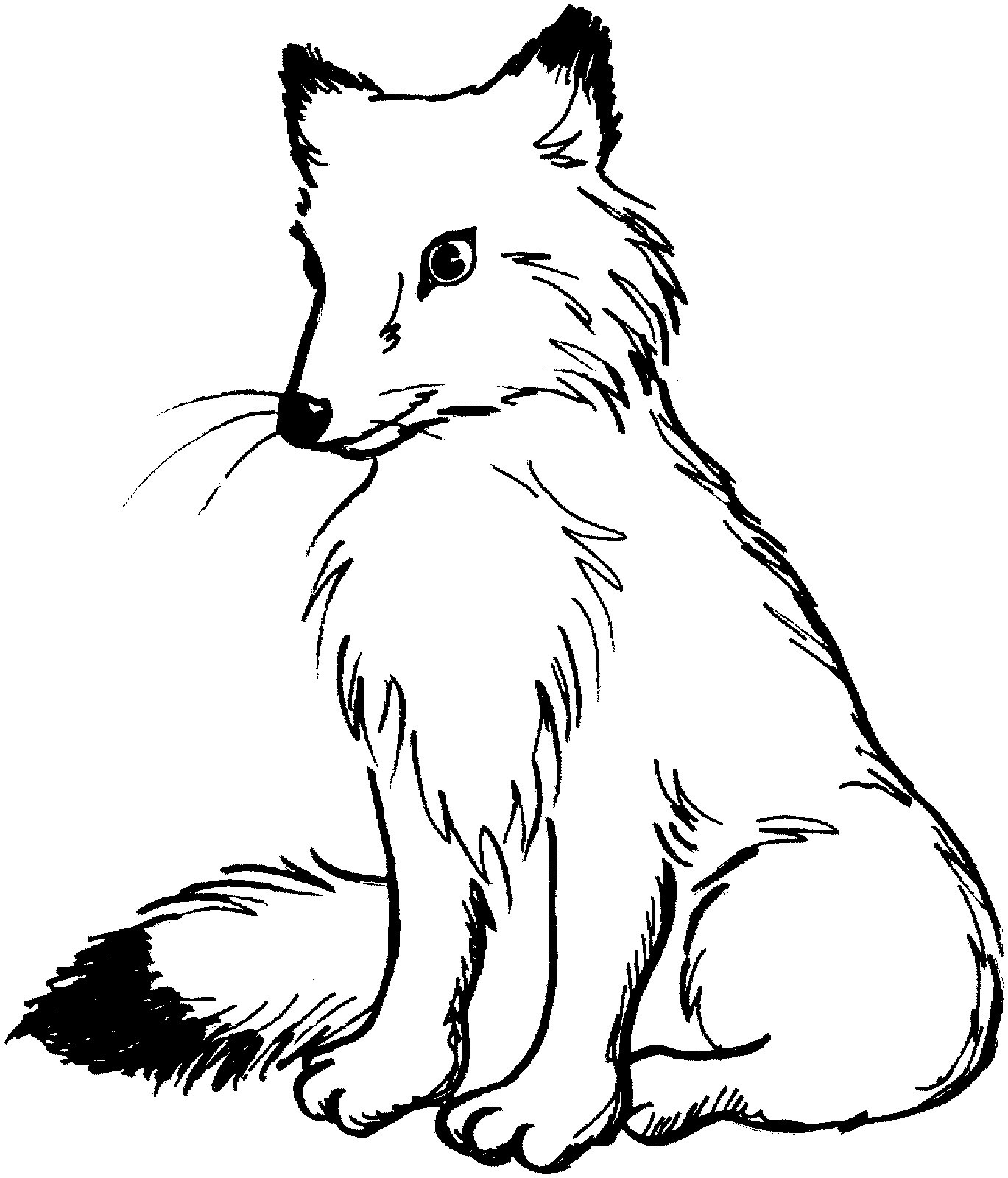 Coloring Pages Of Foxes
 Free Printable Fox Coloring Pages For Kids