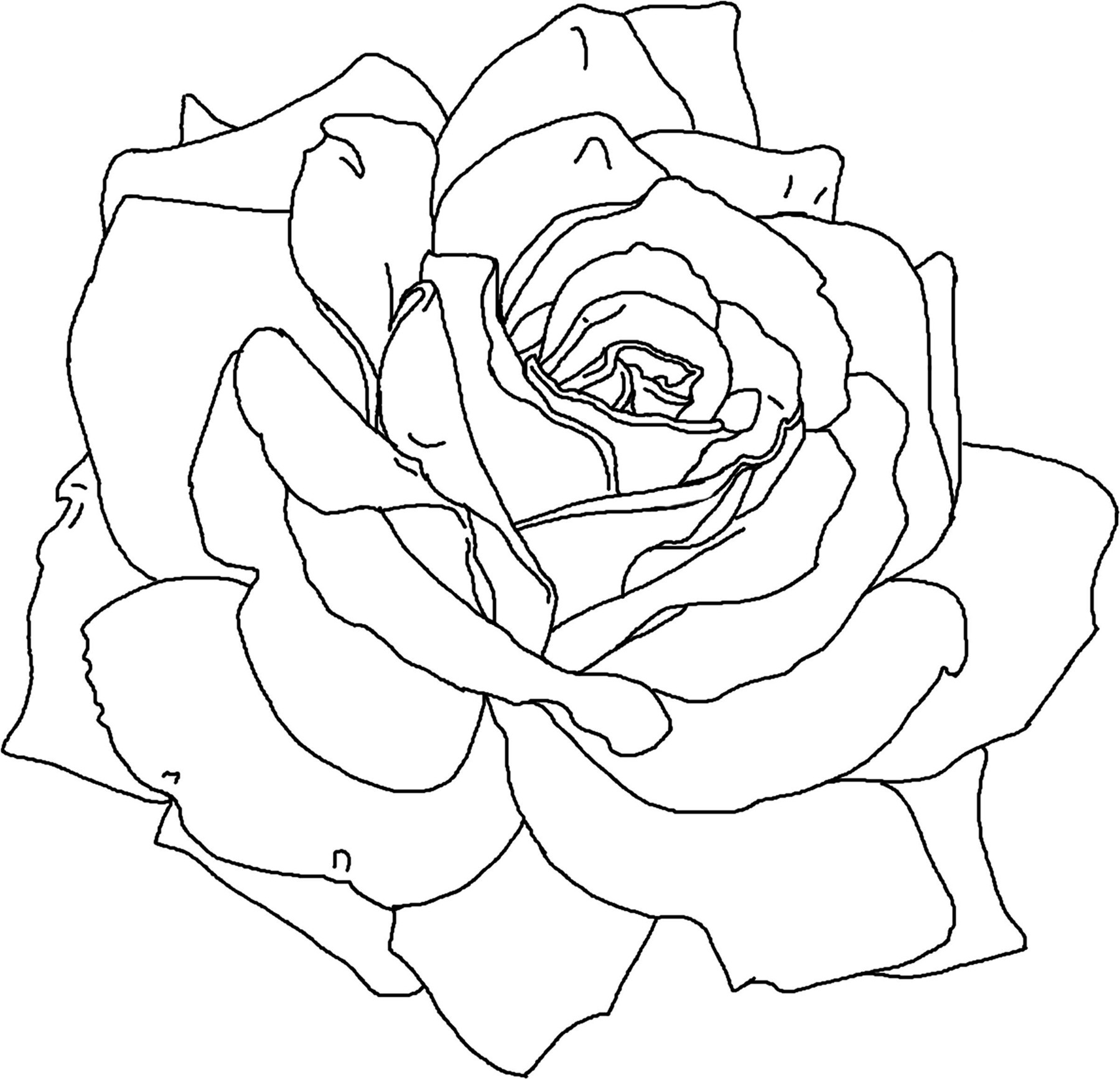 Coloring Pages Of Roses
 Free Printable Flower Coloring Pages For Kids Best