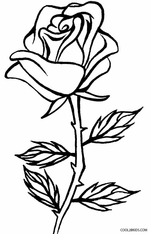 Coloring Pages Of Roses
 Printable Rose Coloring Pages For Kids